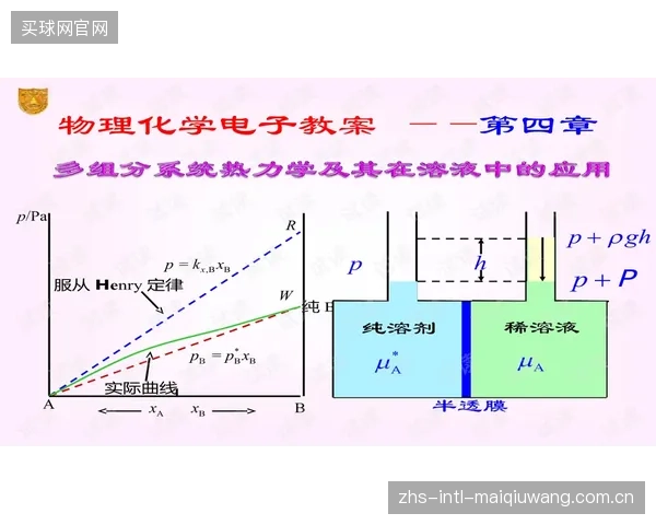 中底性能的定义权正从“材料化学”转向“物理形态控制”,超临界发泡技术开启新赛道 中底性能的定义权正从“材料化学”转向“物理形态控制”,超临界发泡技术开启新赛道